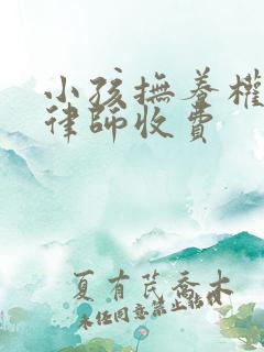 小孩抚养权官司律师收费