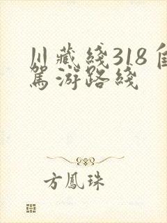 川藏线318自驾游路线