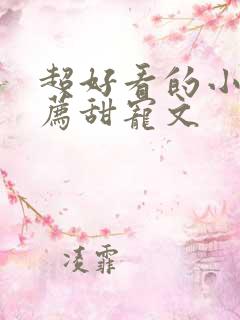 超好看的小说推荐甜宠文