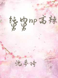 纯肉np高辣文男男