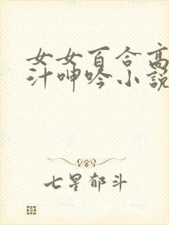 女女百合高h喷汁呻吟小说