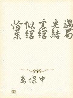 恰似寒光遇骄阳叶绾绾结局