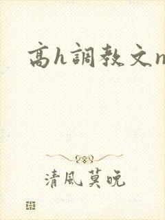 高h调教文np