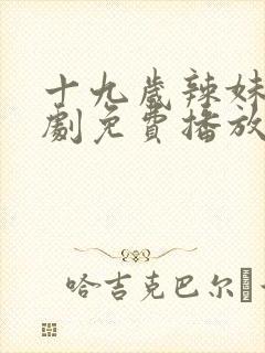 十九岁辣妹电视剧免费播放