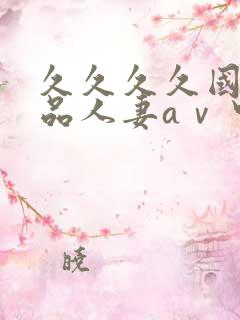 久久久久国产精品人妻aⅴ中