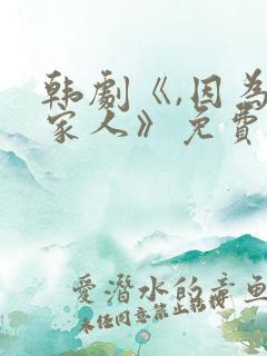 韩剧《,因为是家人》免费观看