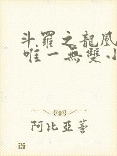斗罗之龙凰传说 唯一无双小说