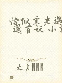 恰似寒光遇骄阳 邋有妖 小说