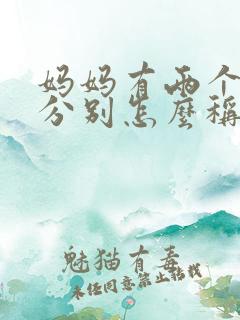 妈妈有两个妹妹分别怎么称呼