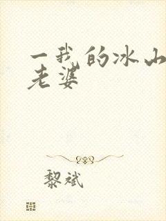 一我的冰山美女老婆