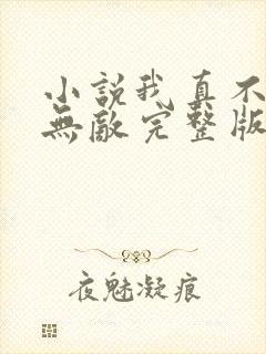 小说我真不想太无敌完整版未删减小说