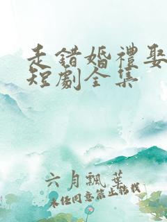 走错婚礼娶对妻短剧全集