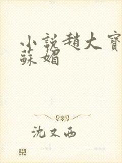 小说赵大宝赵勇苏媚