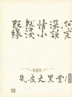 既然情深,何惧缘浅小说完整