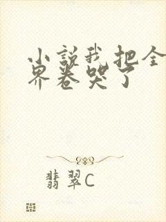 小说我把全修真界卷哭了