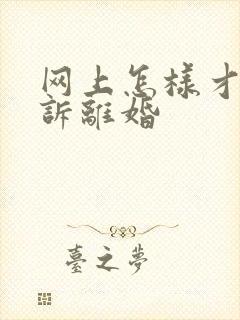 网上怎样才能起诉离婚