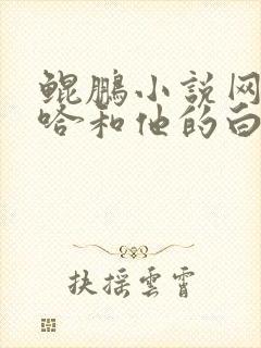 鲲鹏小说网站二哈和他的白猫师尊