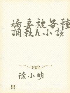 娇妻被各种刑具调教h小说