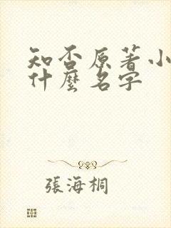 知否原著小说叫什么名字