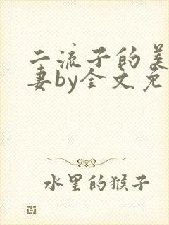 二流子的美貌娇妻by全文免费阅读小说