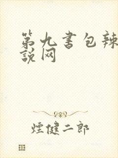 第九书包辣文小说网