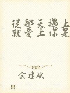 从那天遇上你我就爱上你是什么歌