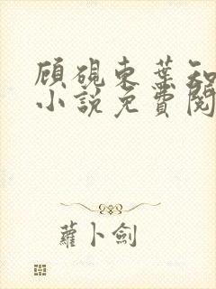 顾砚东叶知安的小说免费阅读全文