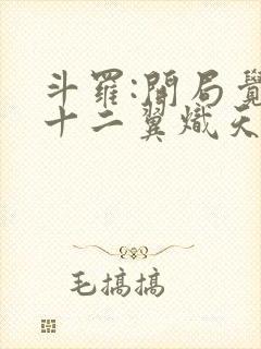 斗罗:开局觉醒十二翼炽天使小说