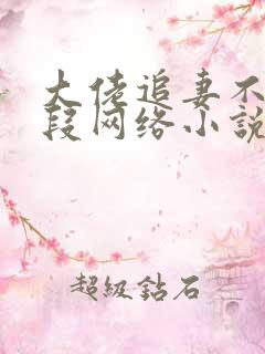大佬追妻不择手段网络小说
