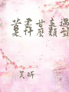 苦尽甘来遇见你是什么类型的剧