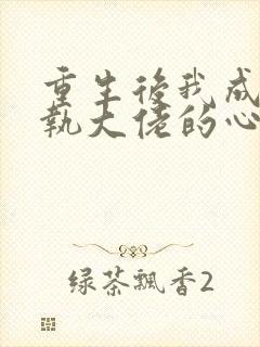 重生后我成了偏执大佬的心尖宠