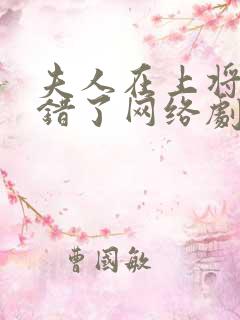 夫人在上将军知错了网络剧