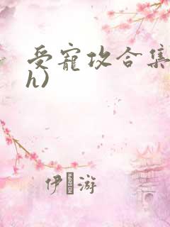 受宠攻合集(高h)