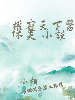 权宠天下医妃要休夫 小说