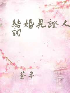 结婚见证人的台词