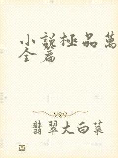 小说极品万岁爷全篇