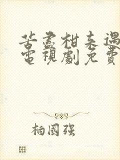 苦尽柑来遇见你电视剧免费观看国语