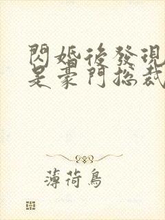 闪婚后发现老公是豪门总裁 全本