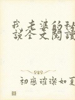 我老婆的秘密小说全文阅读