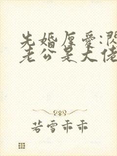 先婚厚爱:闪婚老公是大佬