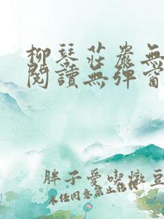 柳琴庄岩无删节阅读无弹窗笔趣阁