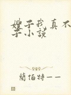 嫂子我真不是傻子小说