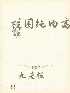 校园纯肉高h小说