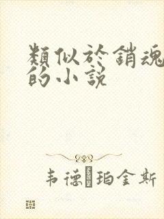 类似于销魂艳婢的小说