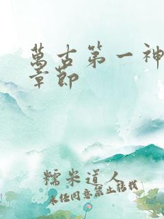 万古第一神全部章节