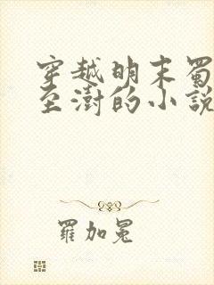 穿越明末蜀王朱至澍的小说