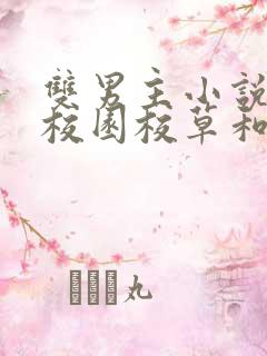 双男主小说推荐校园校草和校霸