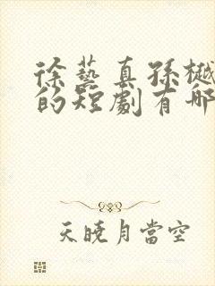 徐艺真孙樾主演的短剧有哪些