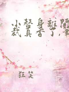 小替身离开后总裁真香了,笔趣阁