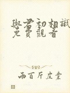 与君初相识短剧免费观看